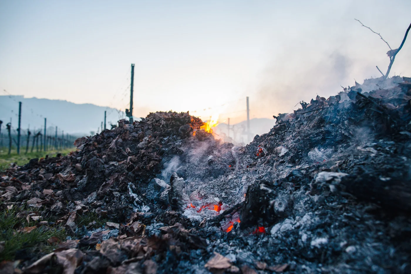 Frostfeuer Wachau 2016