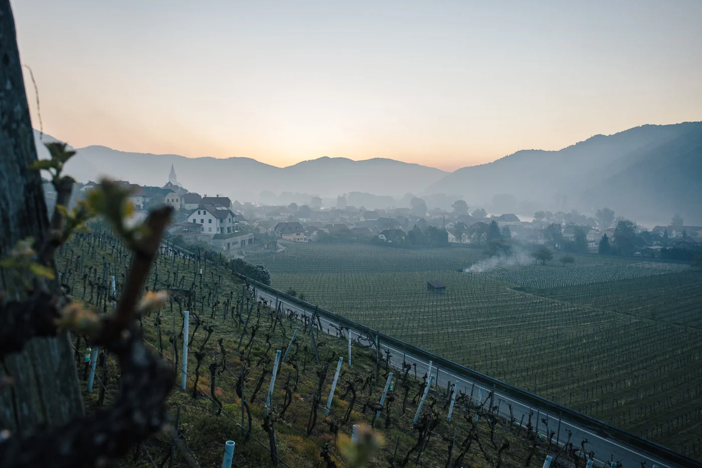 Frostfeuer Wachau 2016