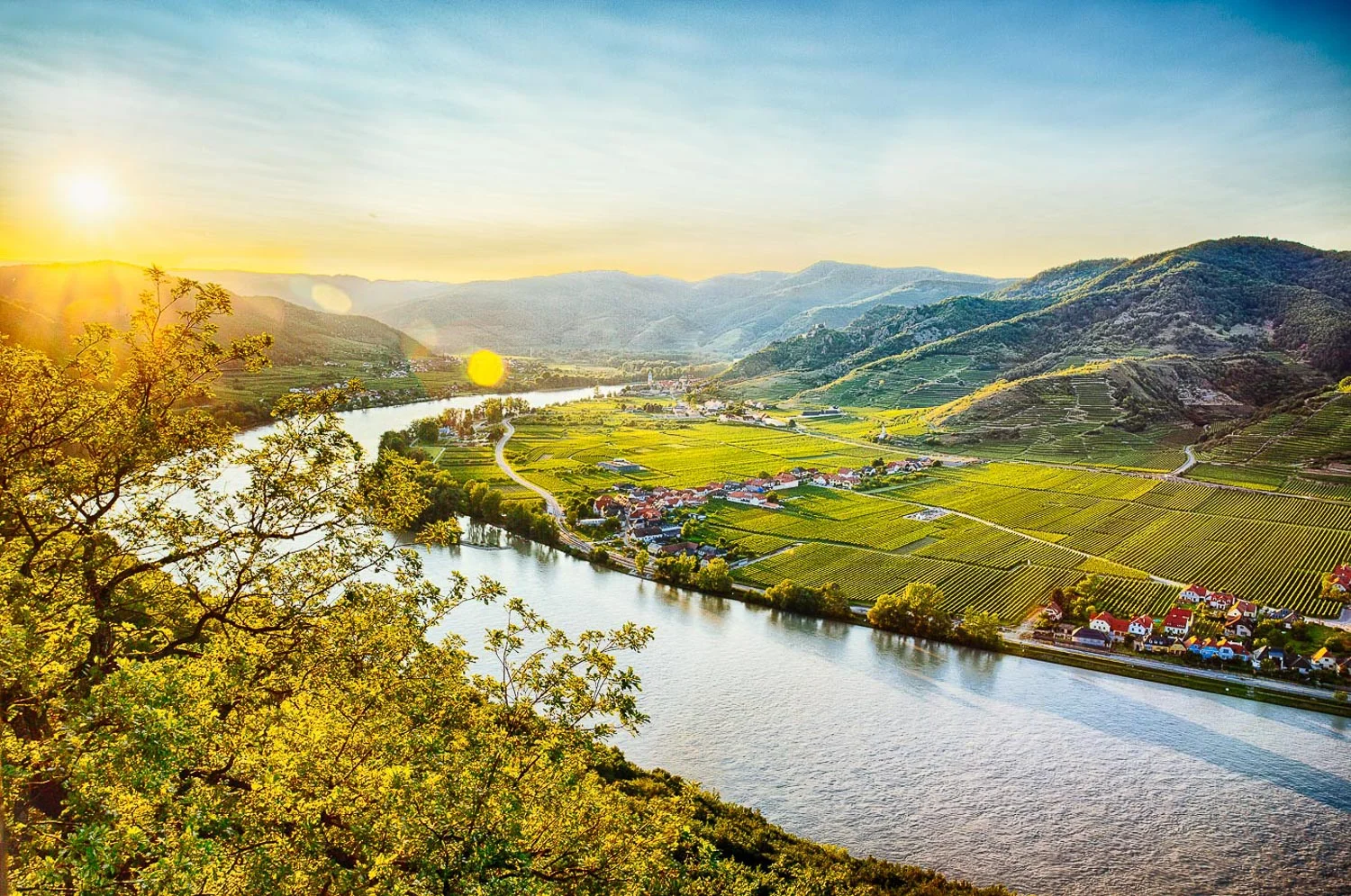 Landschaftsfotos - Sommer in der Wachau © Florian Schulte-3.jpg