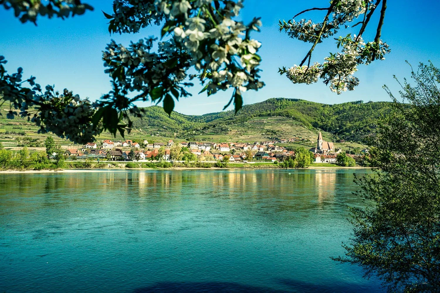 Landschaftsfotos - Sommer in der Wachau © Florian Schulte-12.jpg