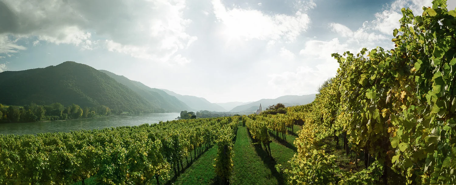 Landschaftsfotos - Sommer in der Wachau © Florian Schulte-20.jpg