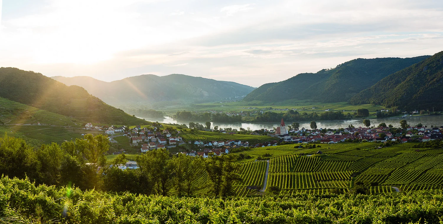 Sonnenaufgang Weißenkirchen - Wachau
