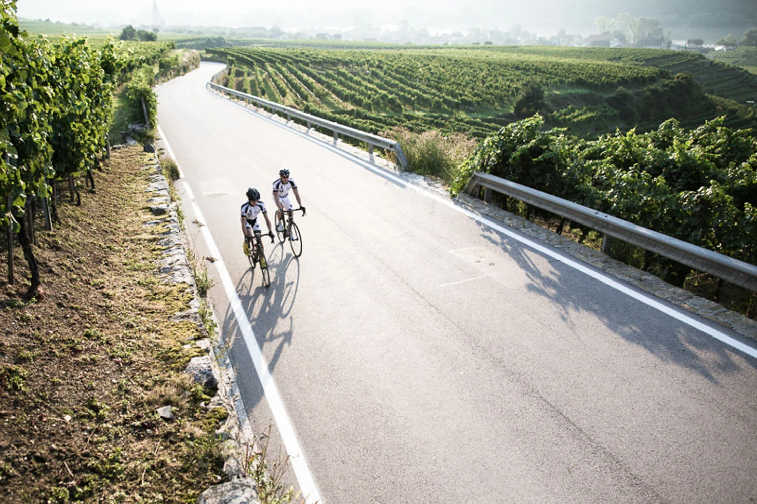 Rennrad Wachau