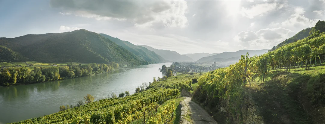 Herbst in der Wachau