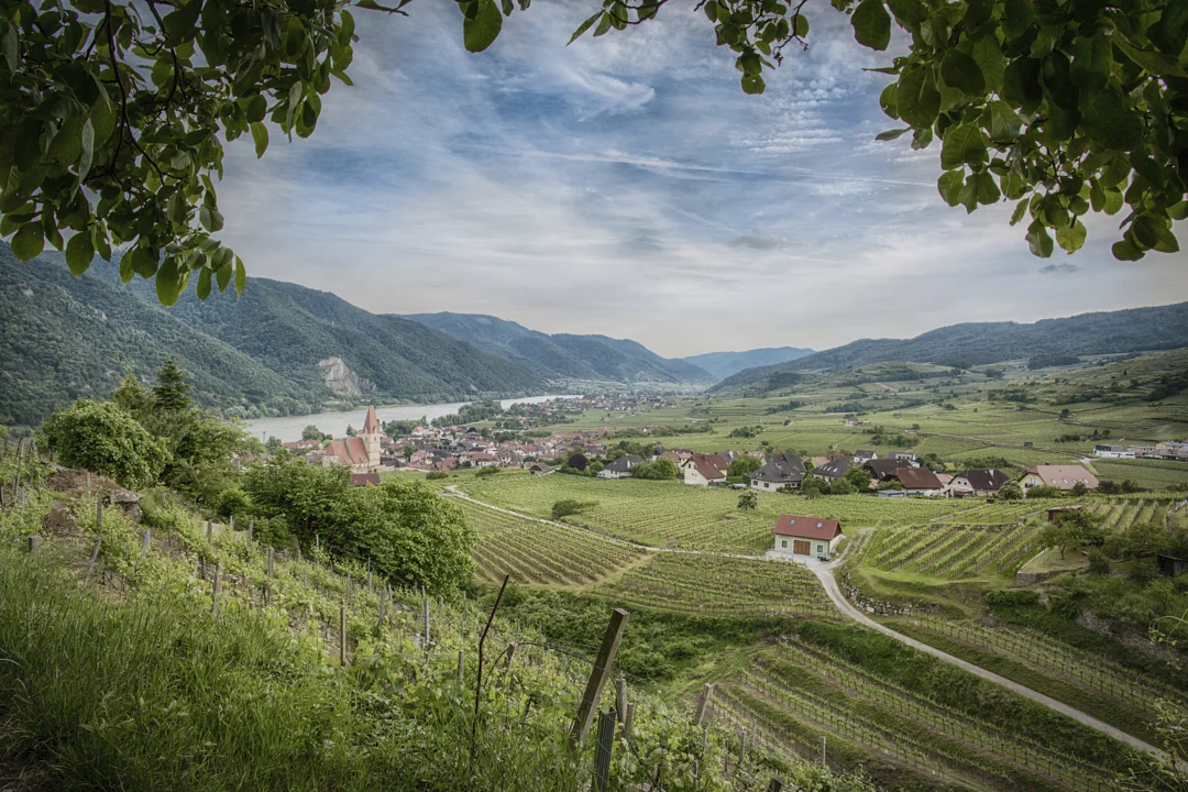 Businessreportage Raiffeisenbank Krems