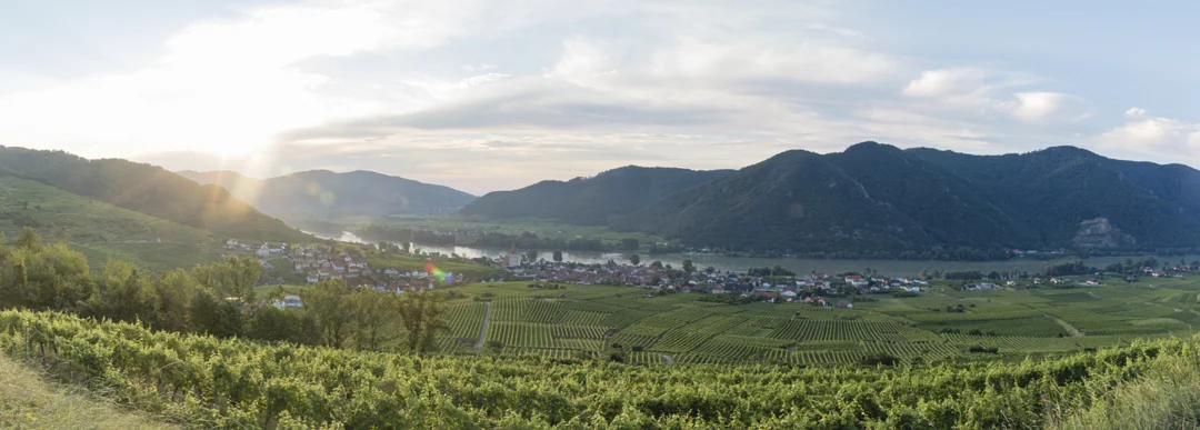 Sonnenaufgang Wachau