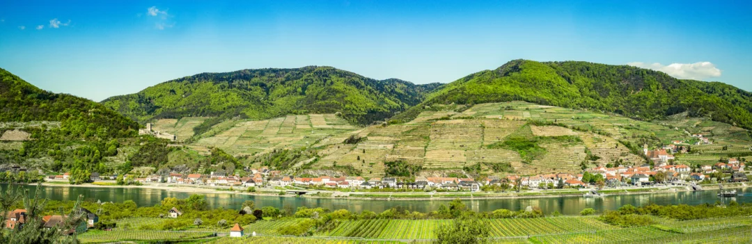 Panorama Spitz