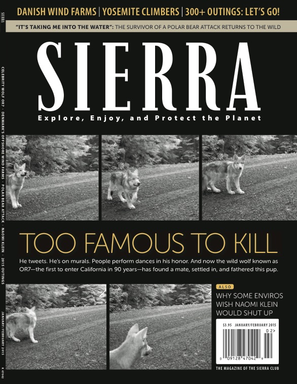 M-SiMJF15_Cover.jpg