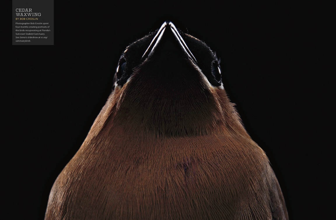 M-SiMMA15_PhotoSpread.jpg