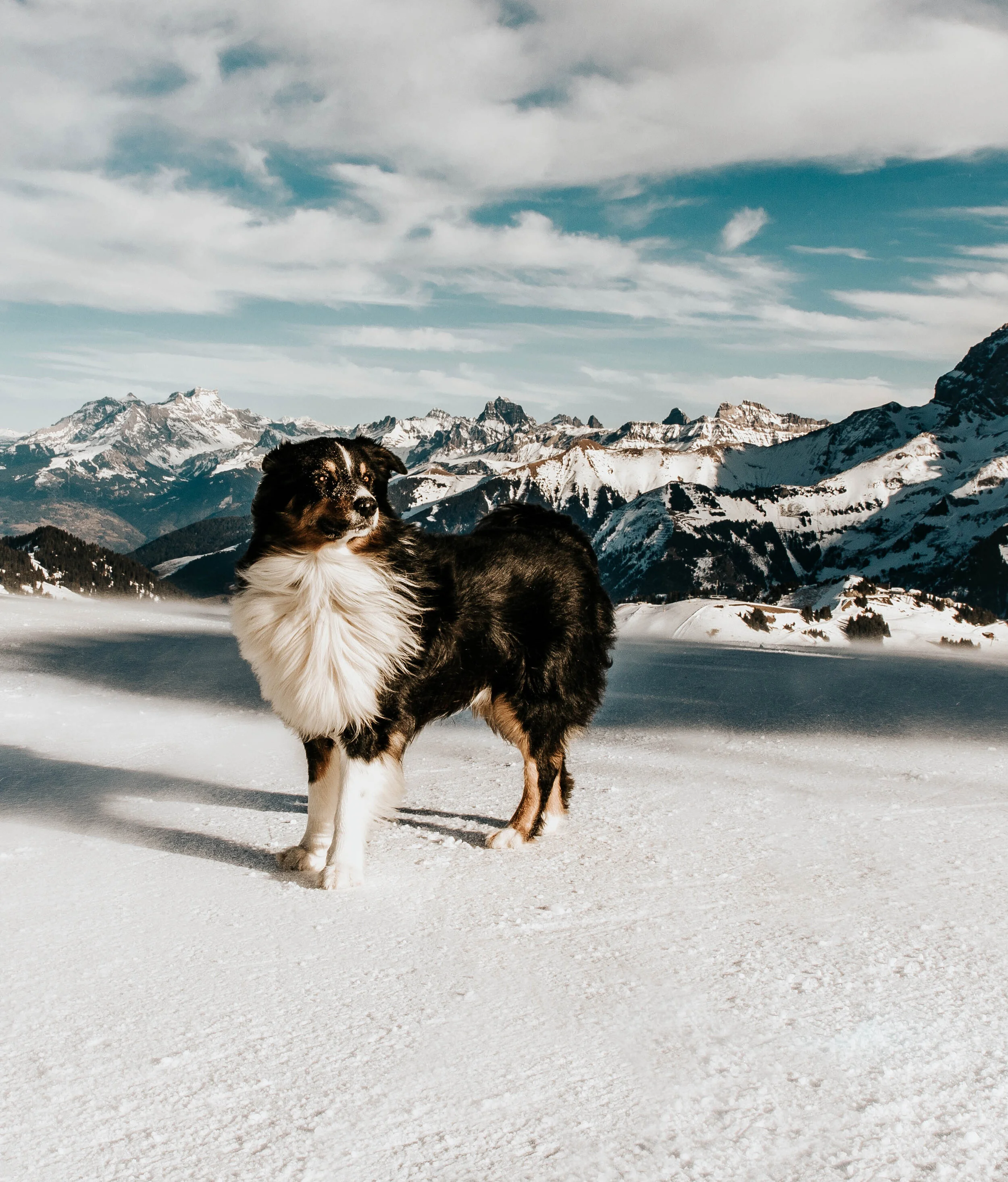 AE4A6355-Edit.jpg