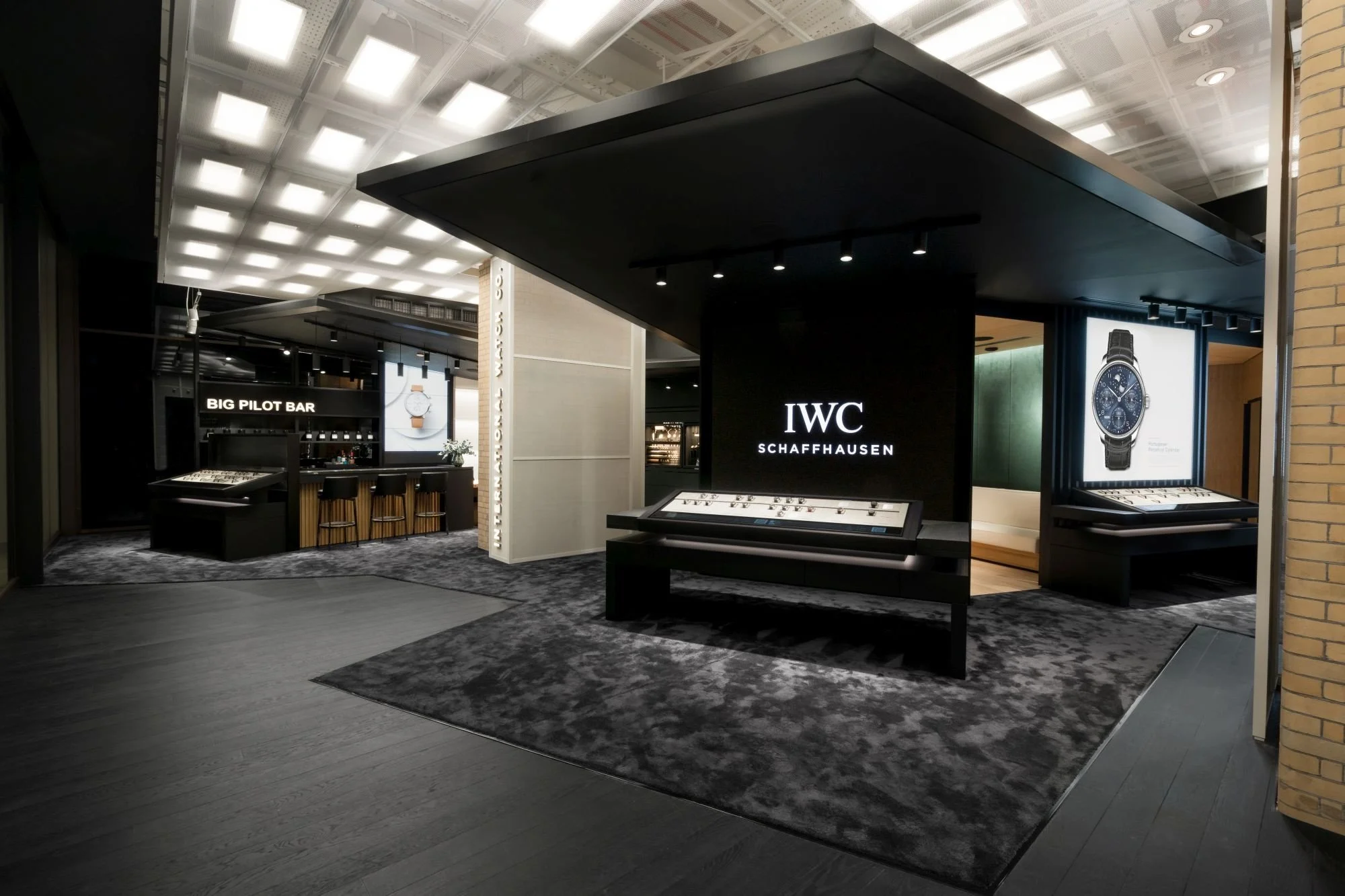IWC_IMG193_CSP.jpg