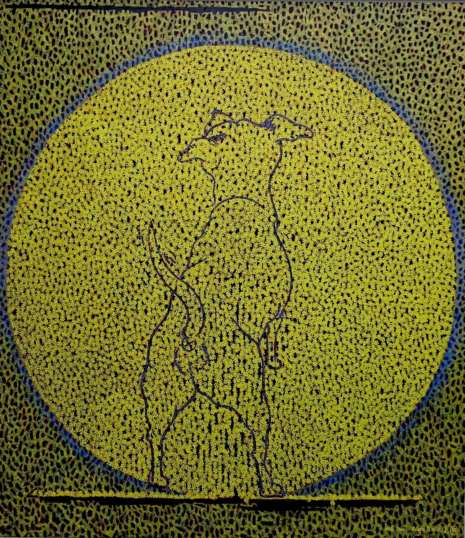 Full Moon Black Wattle XV