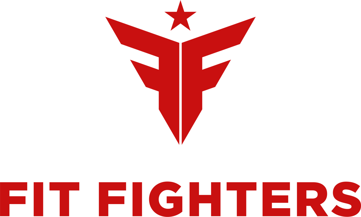 FIT FIGHTERS