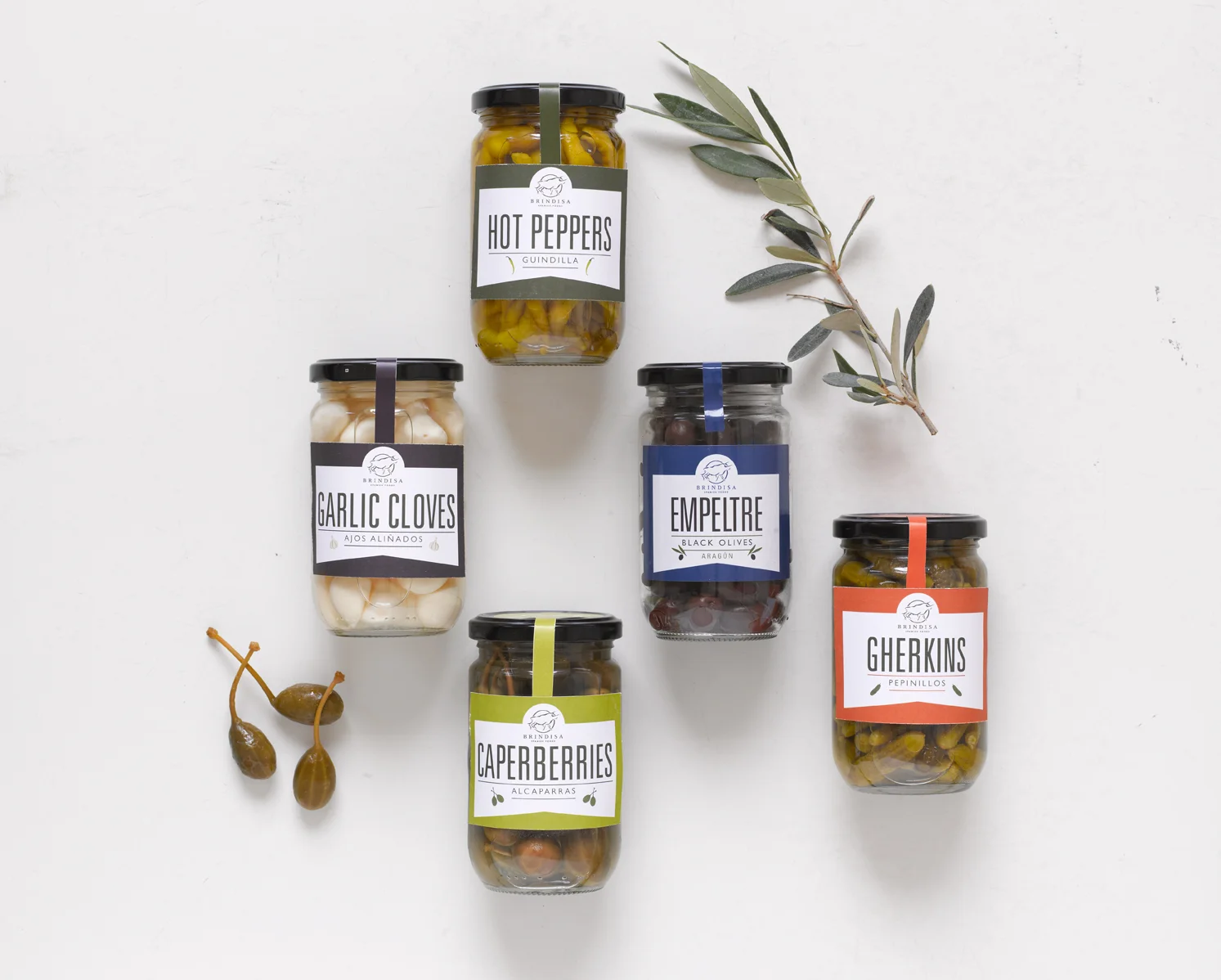 Olivesrange.jpg