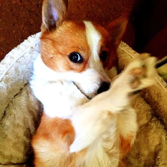 quirky stretch.jpg