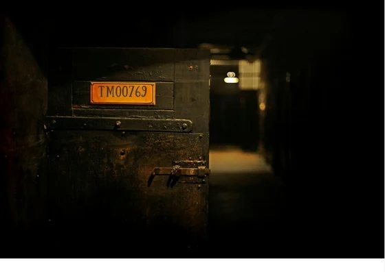 TM00769.jpg