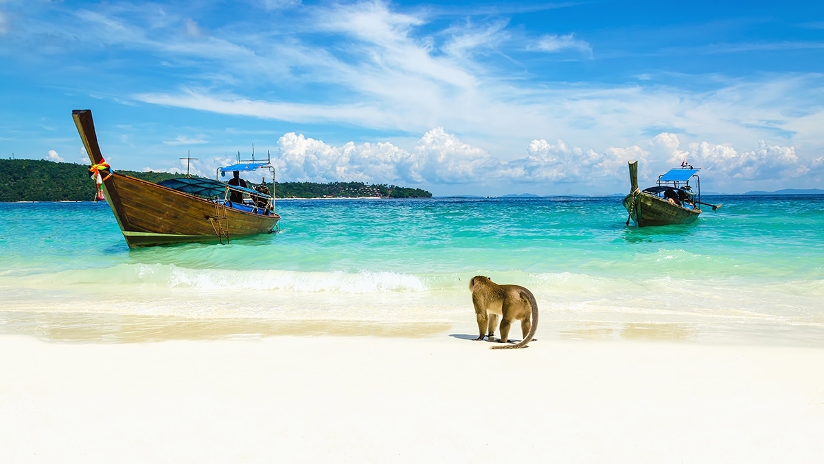 Monkey Beach.jpg