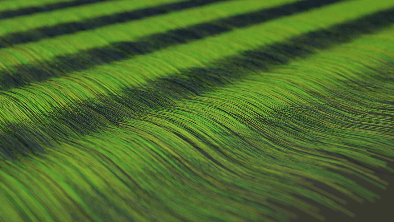 thread_green_web_01.jpg
