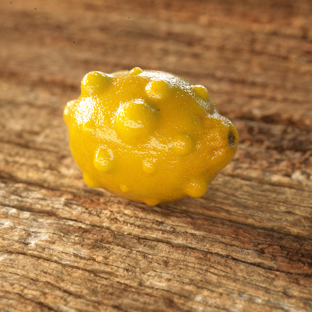 lemon_slice_02_0054.png