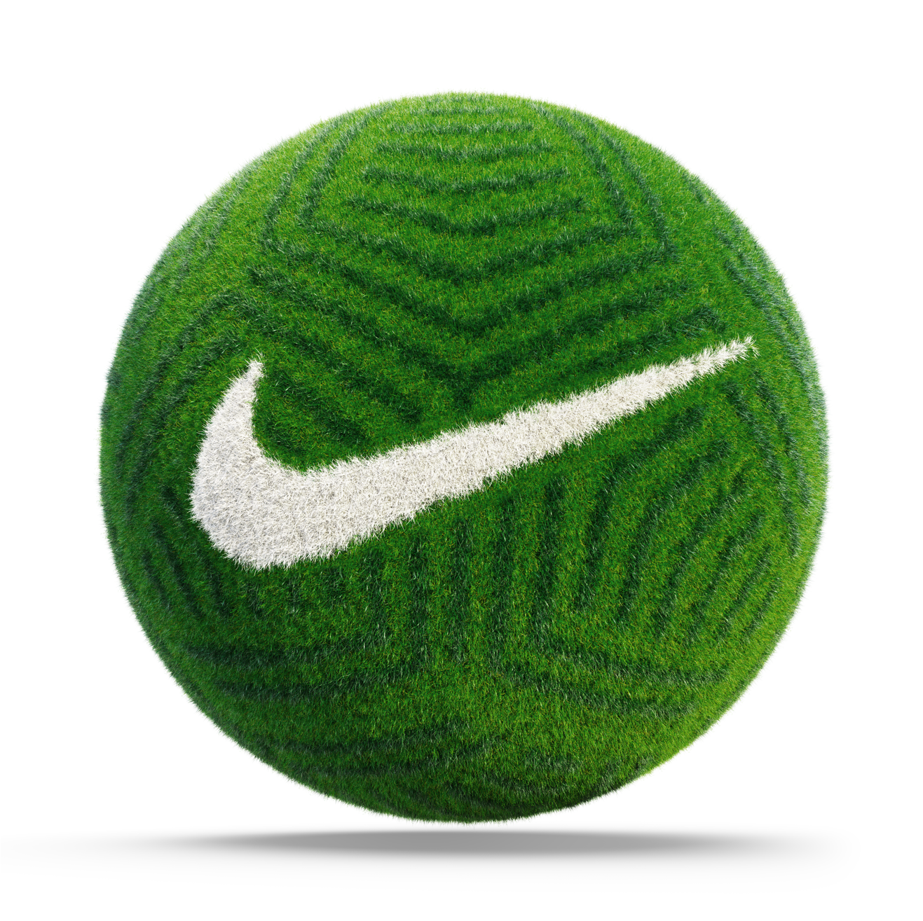 David-Brodeur_Brilly_Nike-3D_web-1.PNG