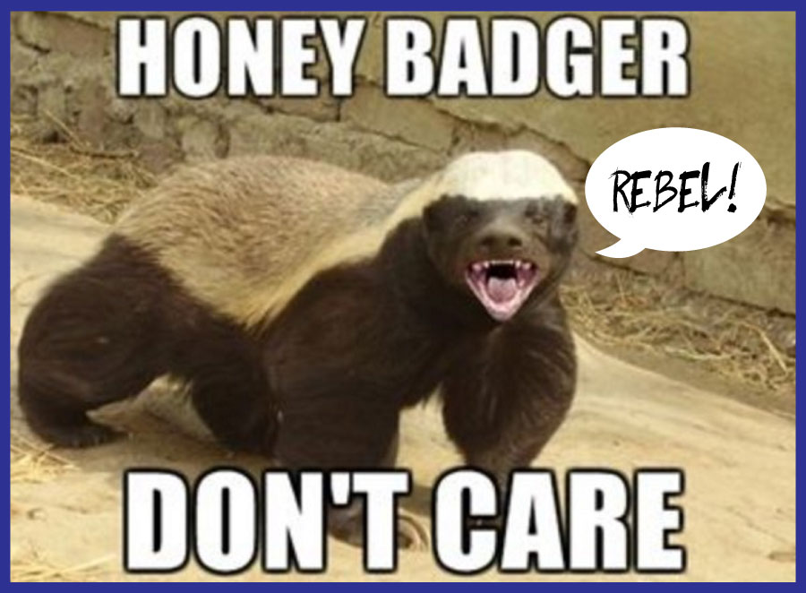 Click here to view 'Honey Badger Don't Care' .