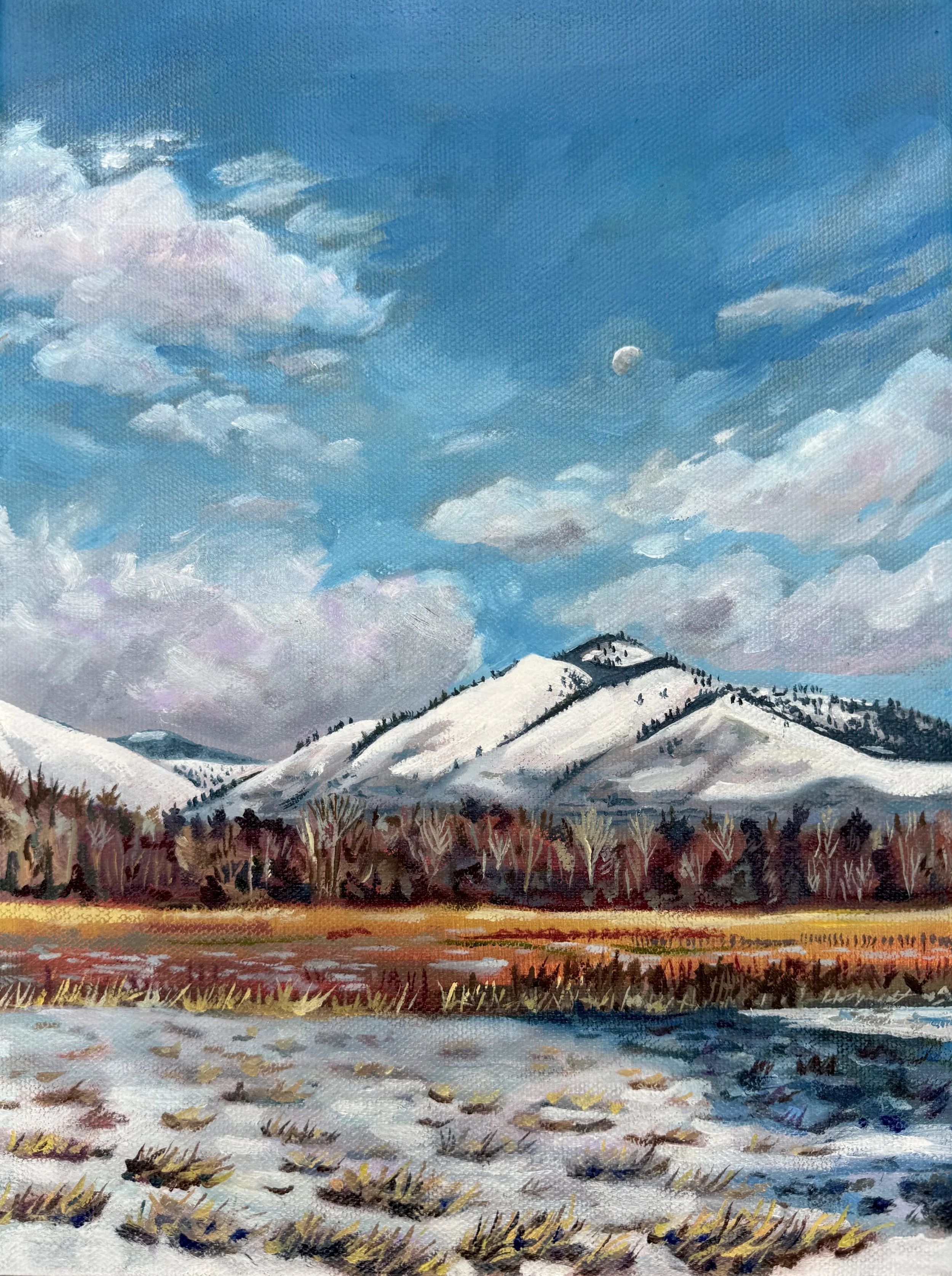 Maclay Flats Field.jpg