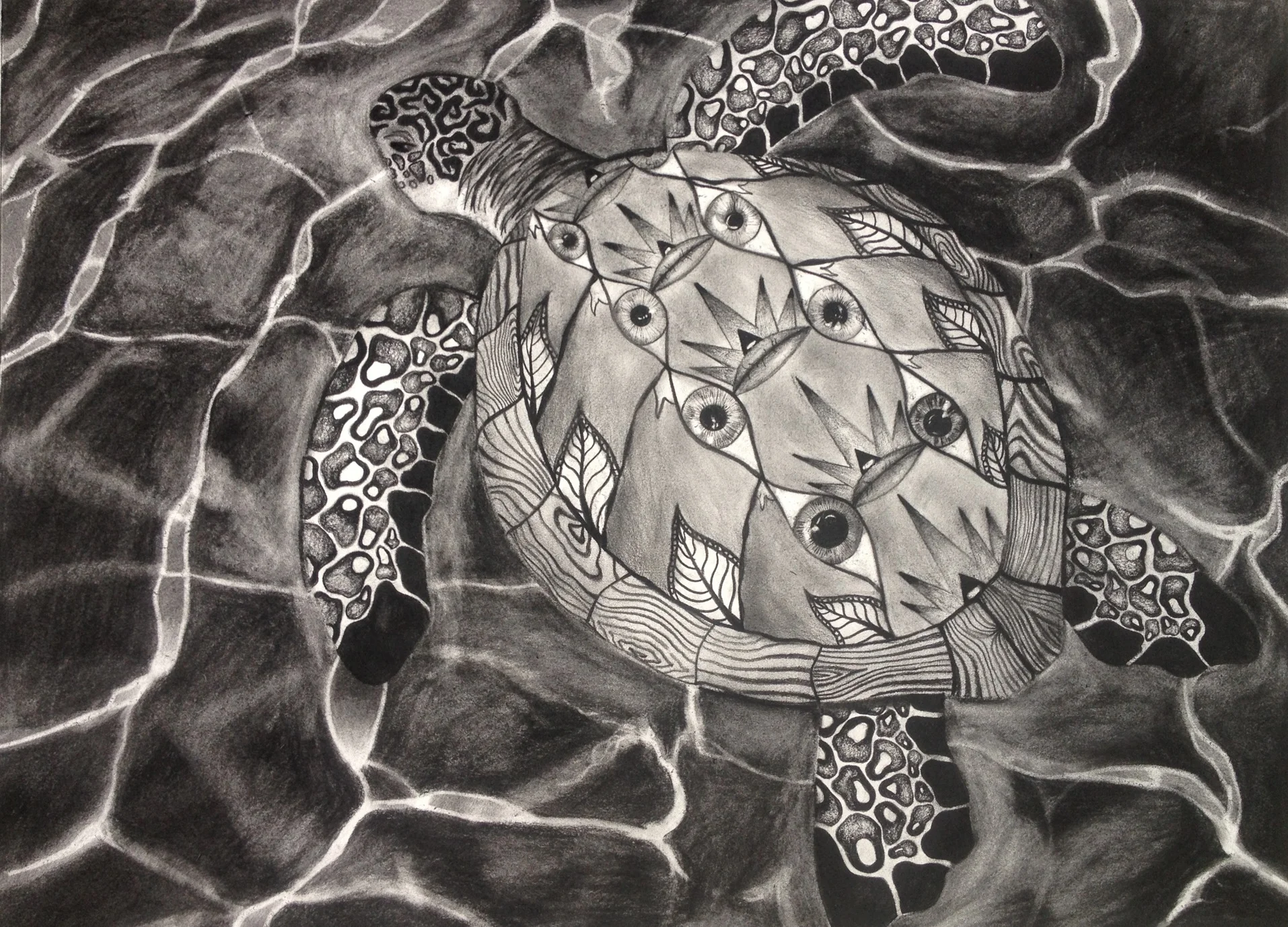 Eye Turtle.jpg