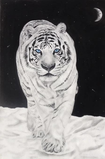 Charcoal White Tiger.jpg