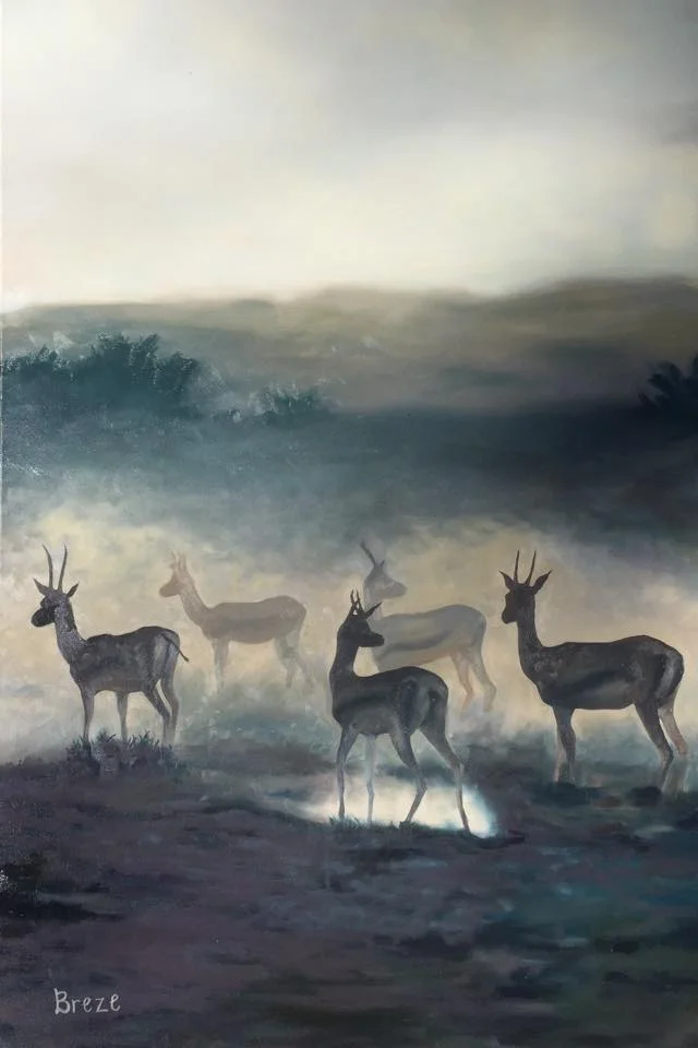 Antelopes in Field .jpg