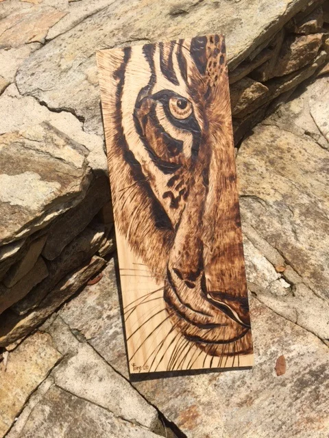 Tiger.jpg