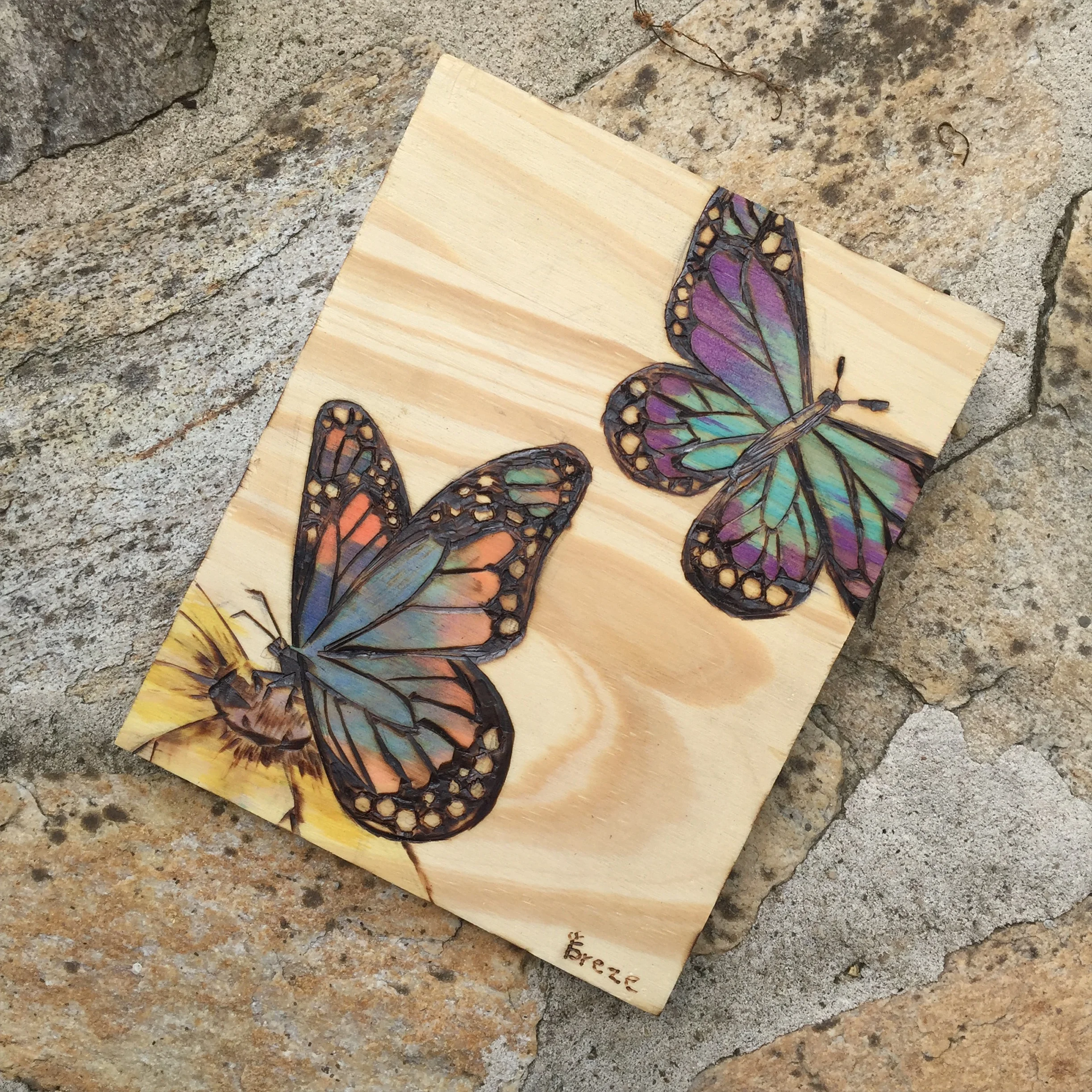 Butterfly.jpg