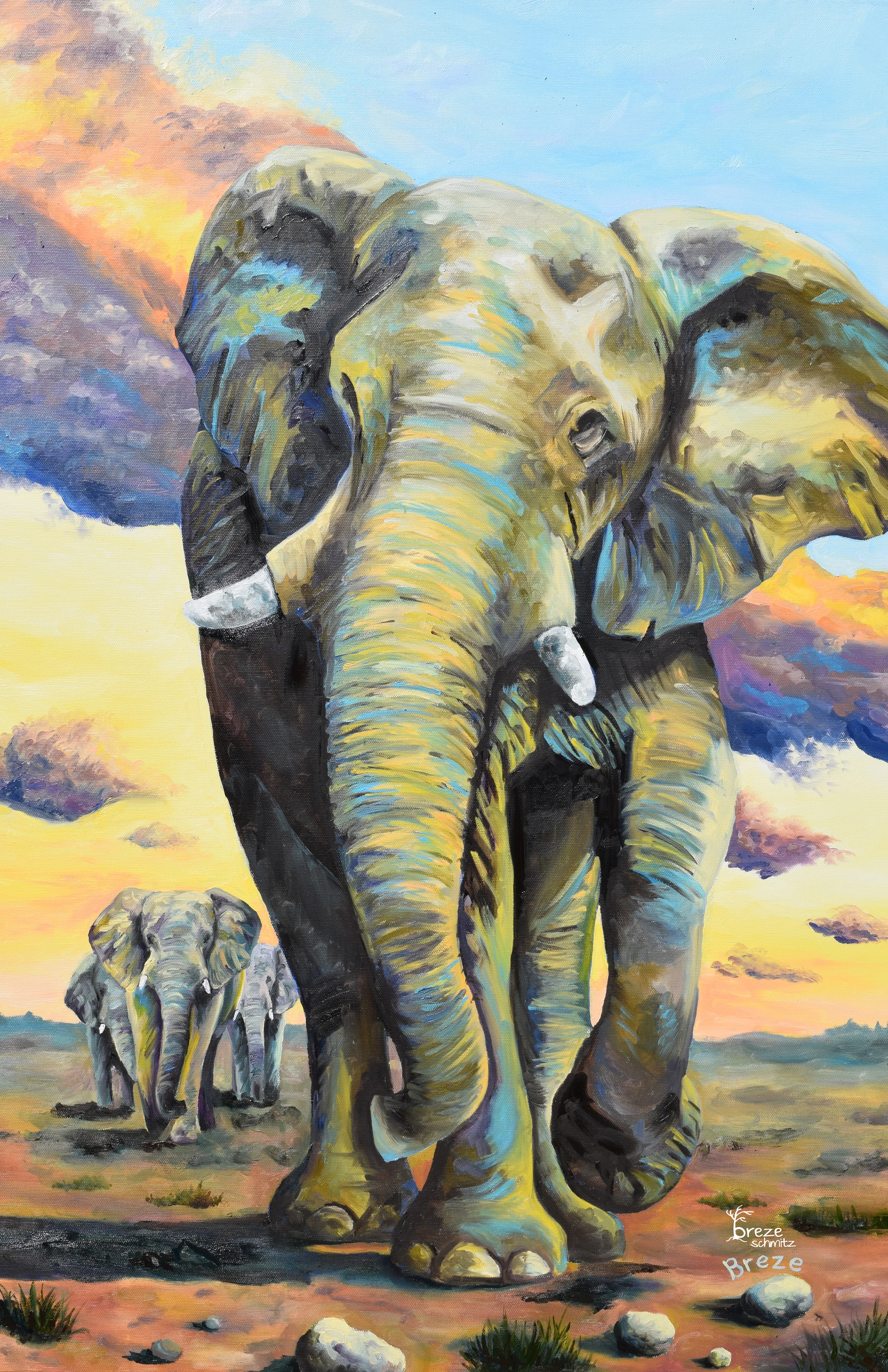 Sunset Elephant Walk 11 x 17 copy.jpg