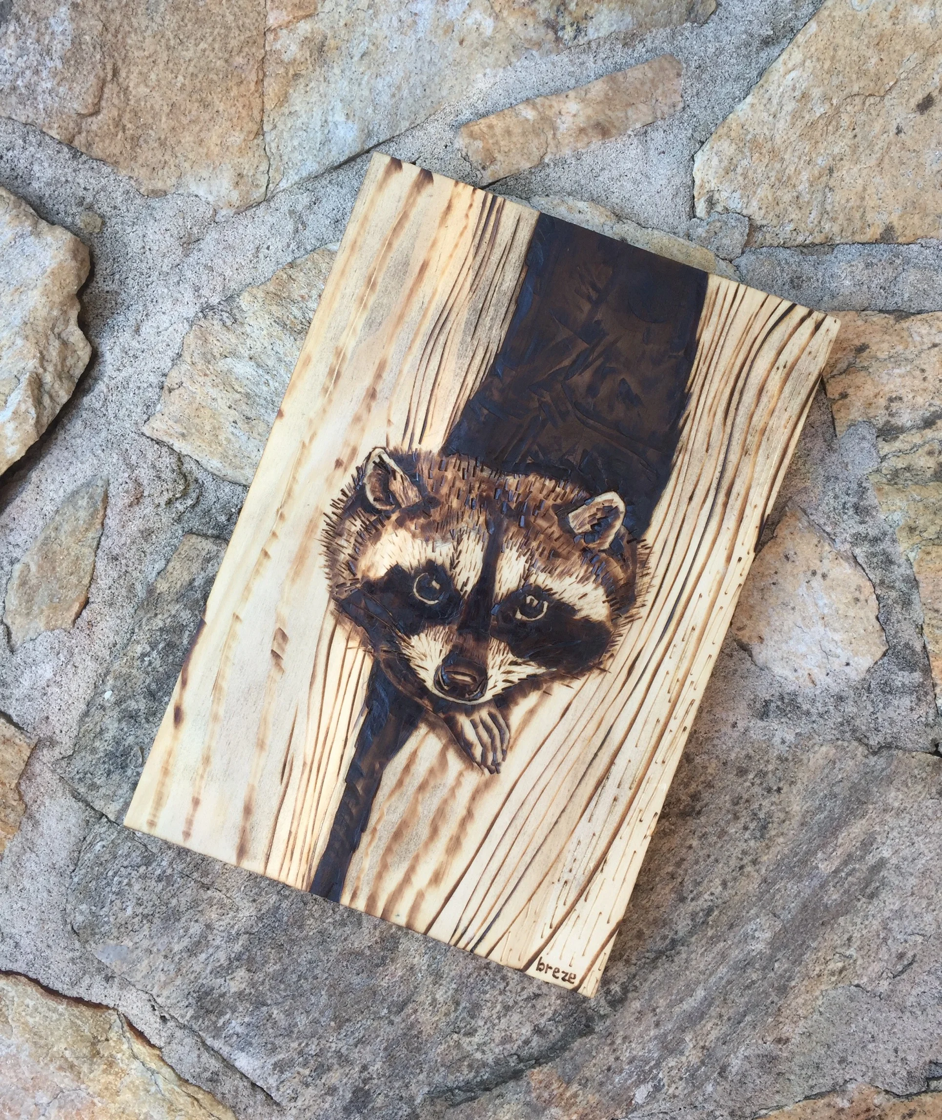 Peeping Racoon Woodburning .jpg