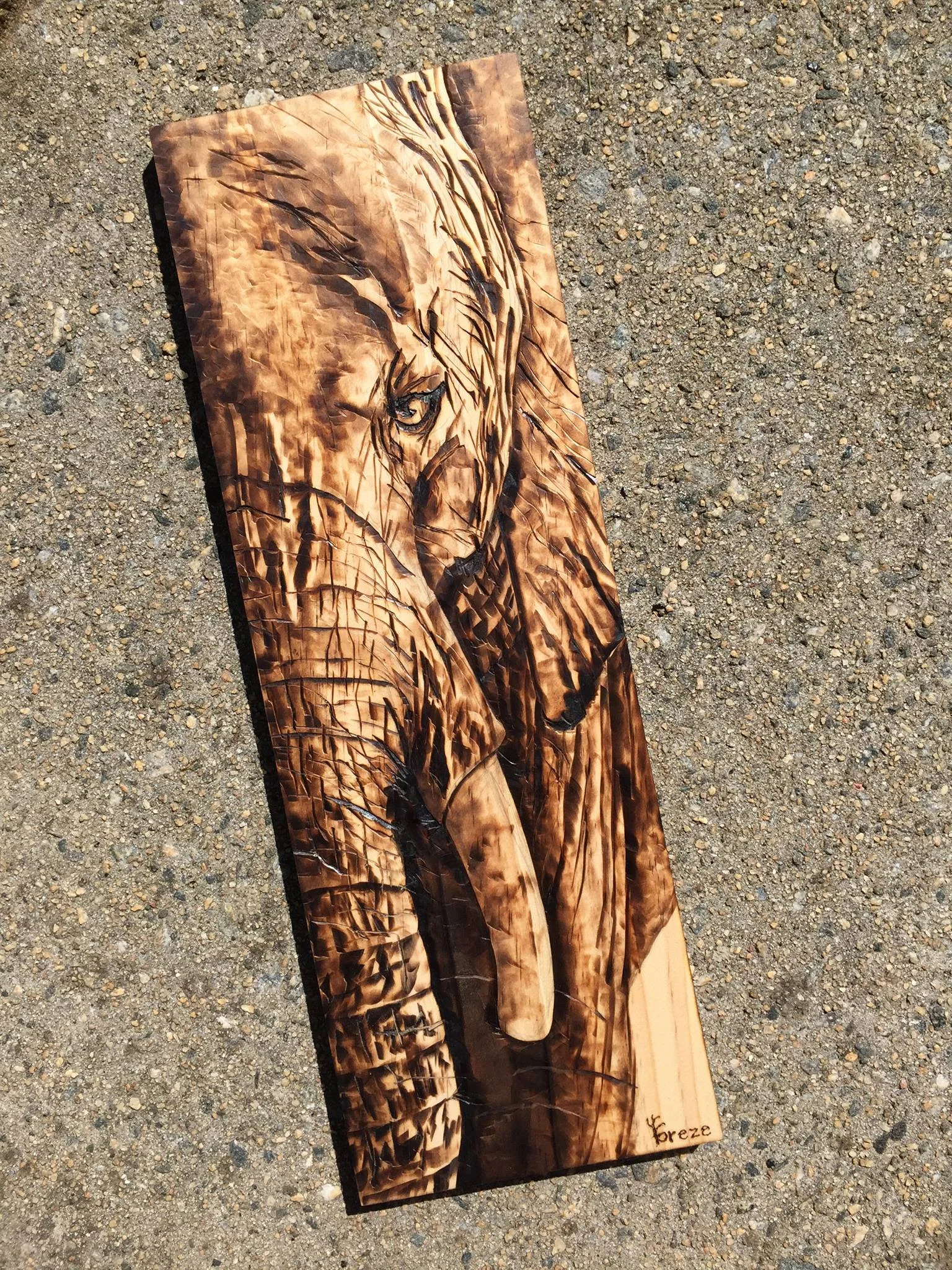 Wise Ole Elephant sun.jpg