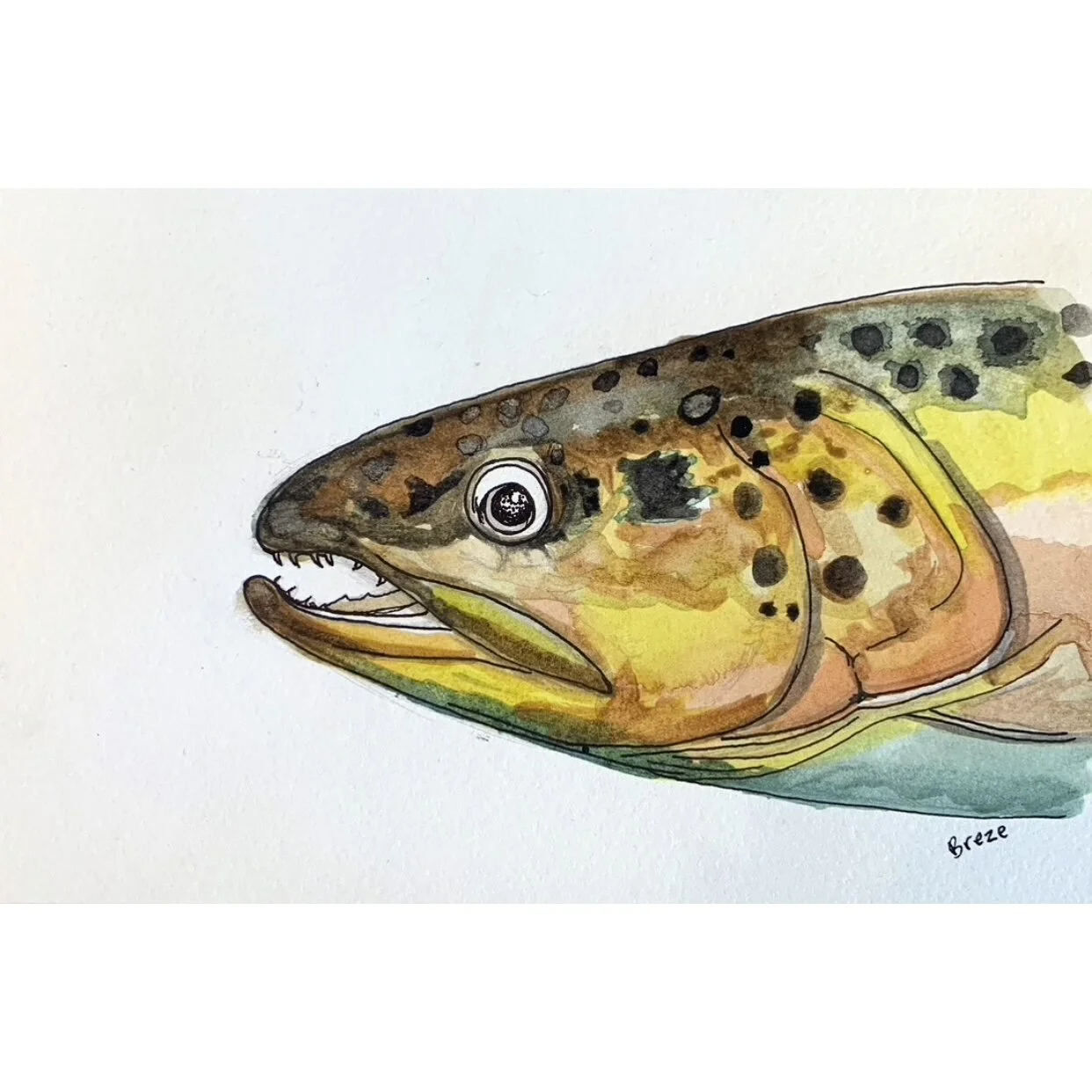 7E6317B6-6AE9-4EAD-825C-027F9C1E9C34