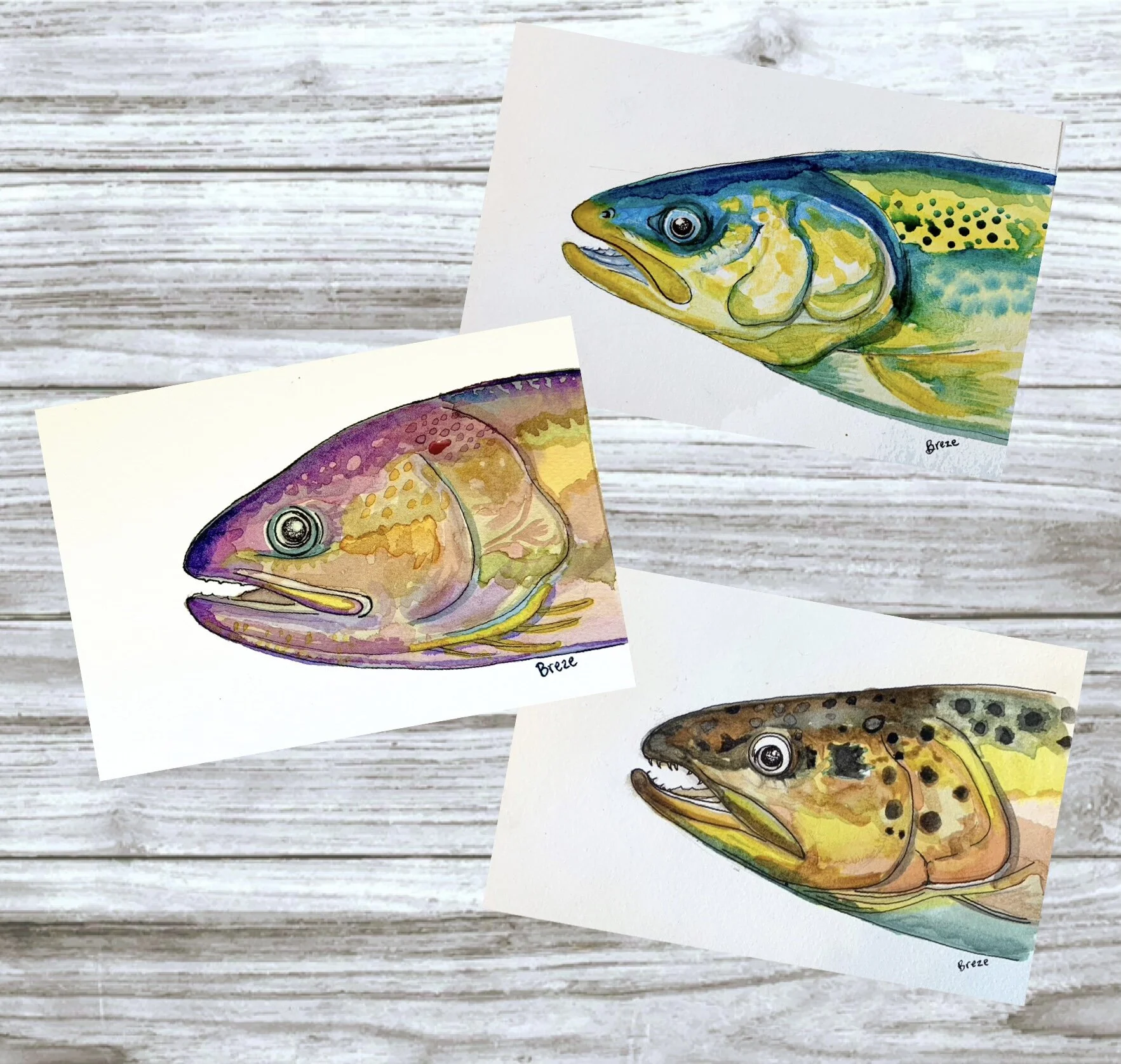 119E647B-C7EA-4C3A-A9B3-1AFF67C53D3A