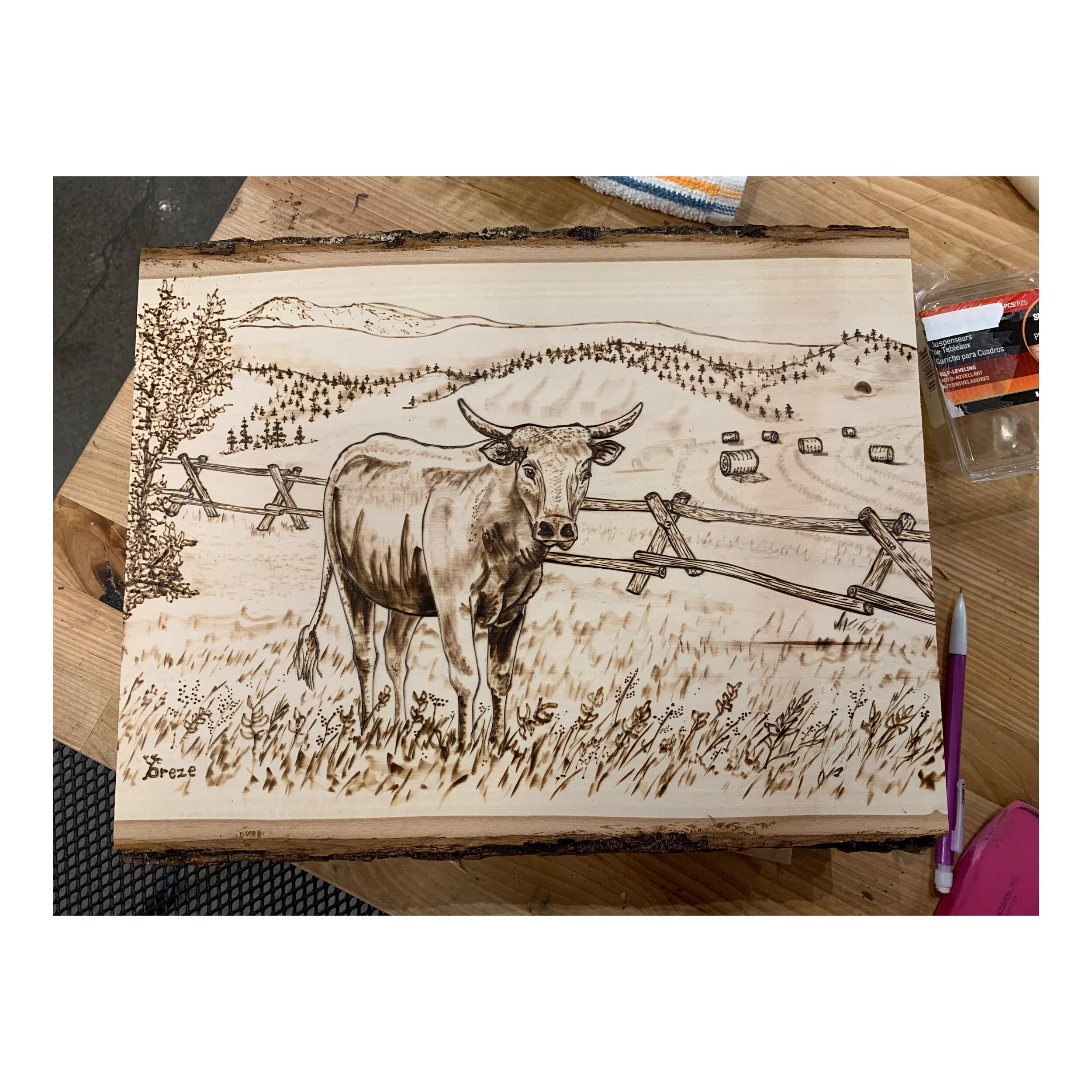 C48AF91E-9639-485B-B9BE-5AC5ADC8FB6E