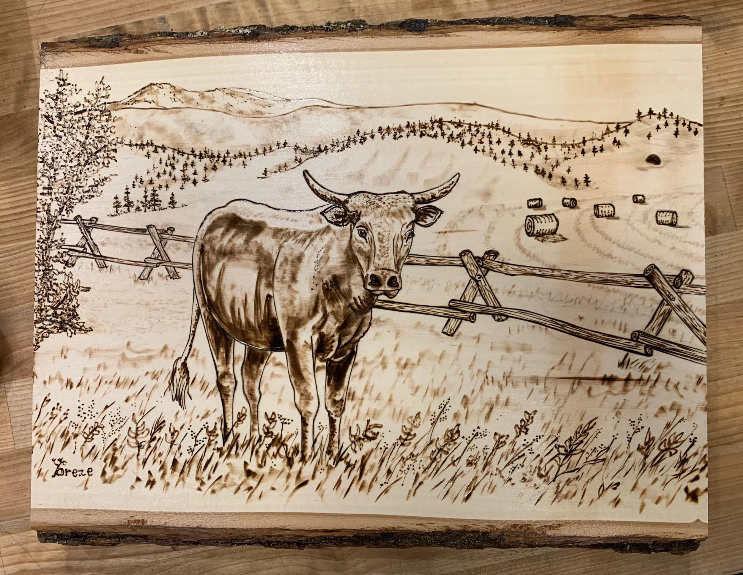 69E193AE-74D5-47C7-BC7D-99C32EF5E939