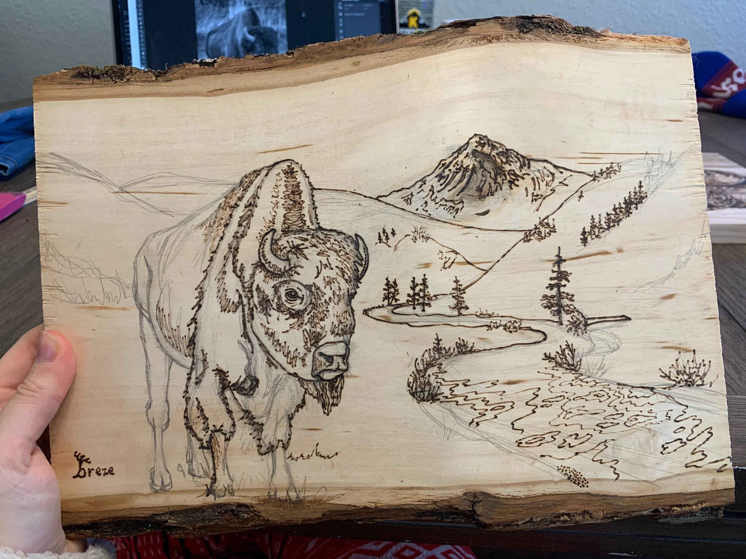 D17A11D8-BF19-4338-A8B8-E4D0540CCB0B