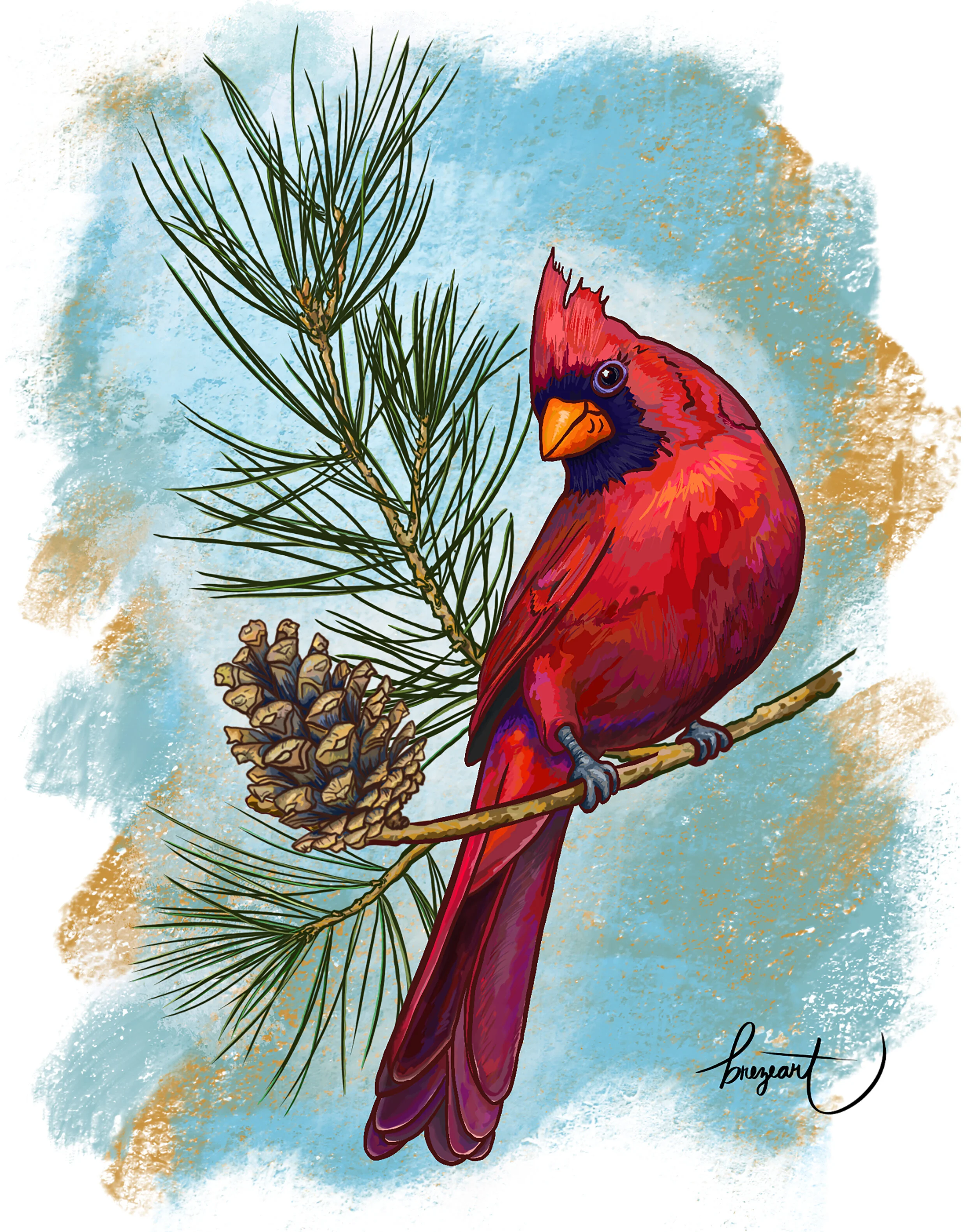 Cardinal on a Pine branch for print.jpeg