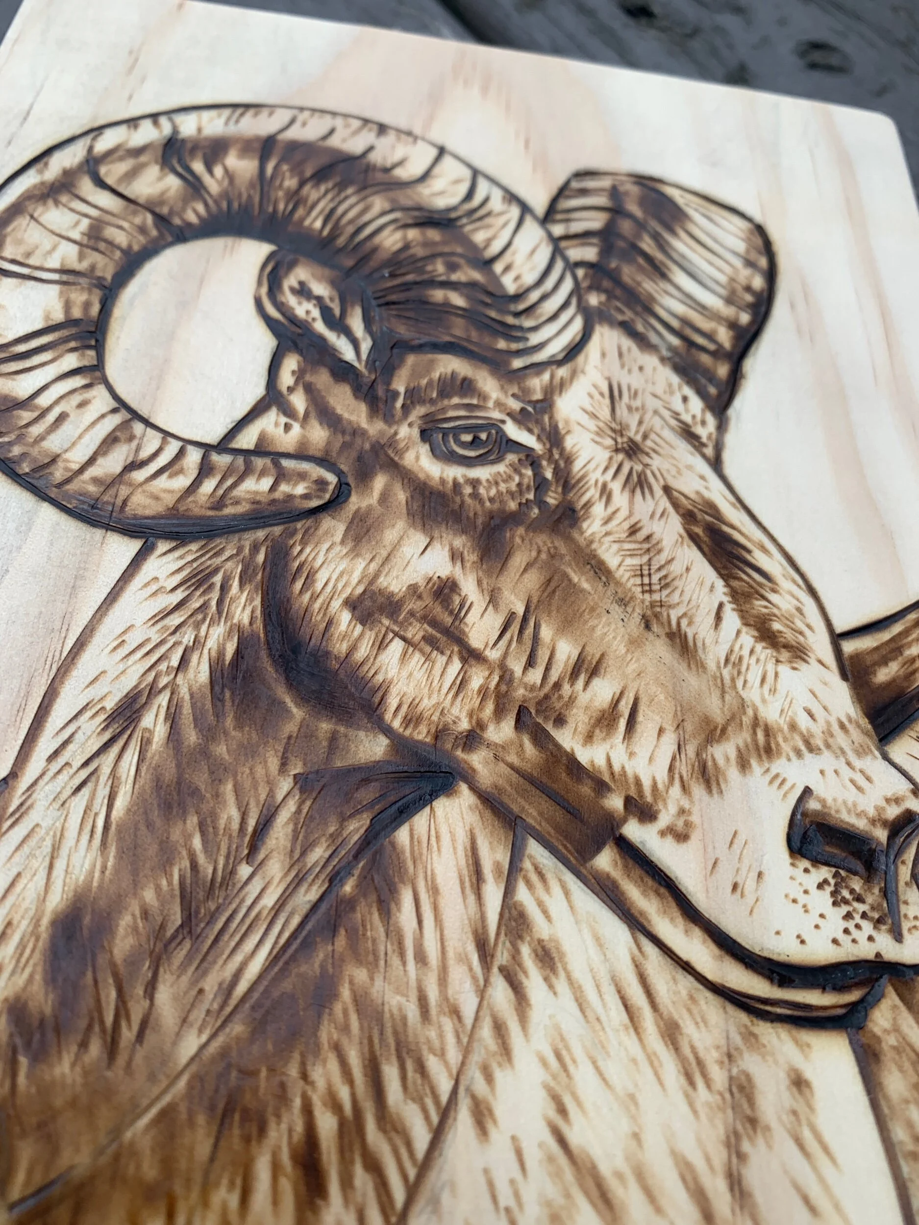 8E88C748-2589-48BF-943A-7A093E3AFBF8