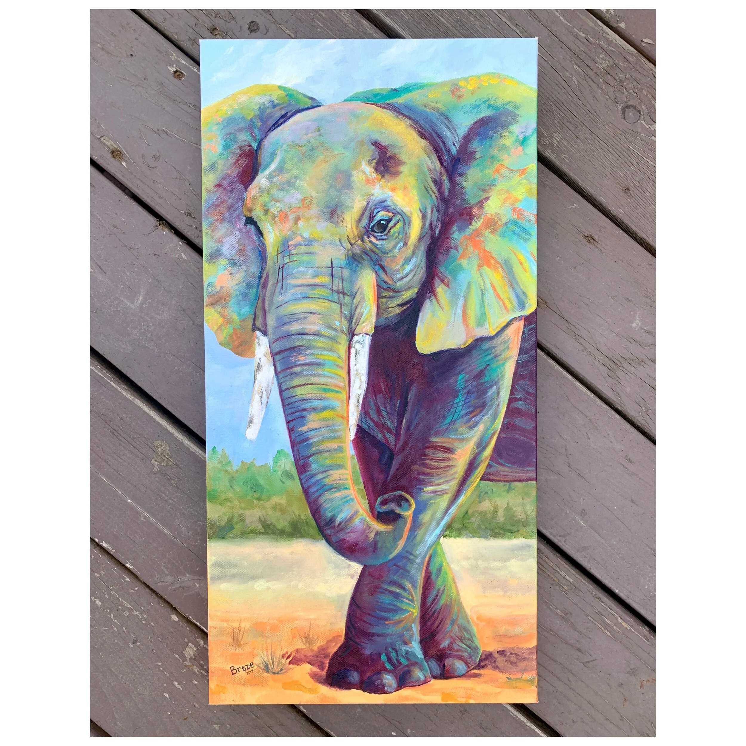 49BA77E3-9EAA-4A34-AB8D-63B0359F2394