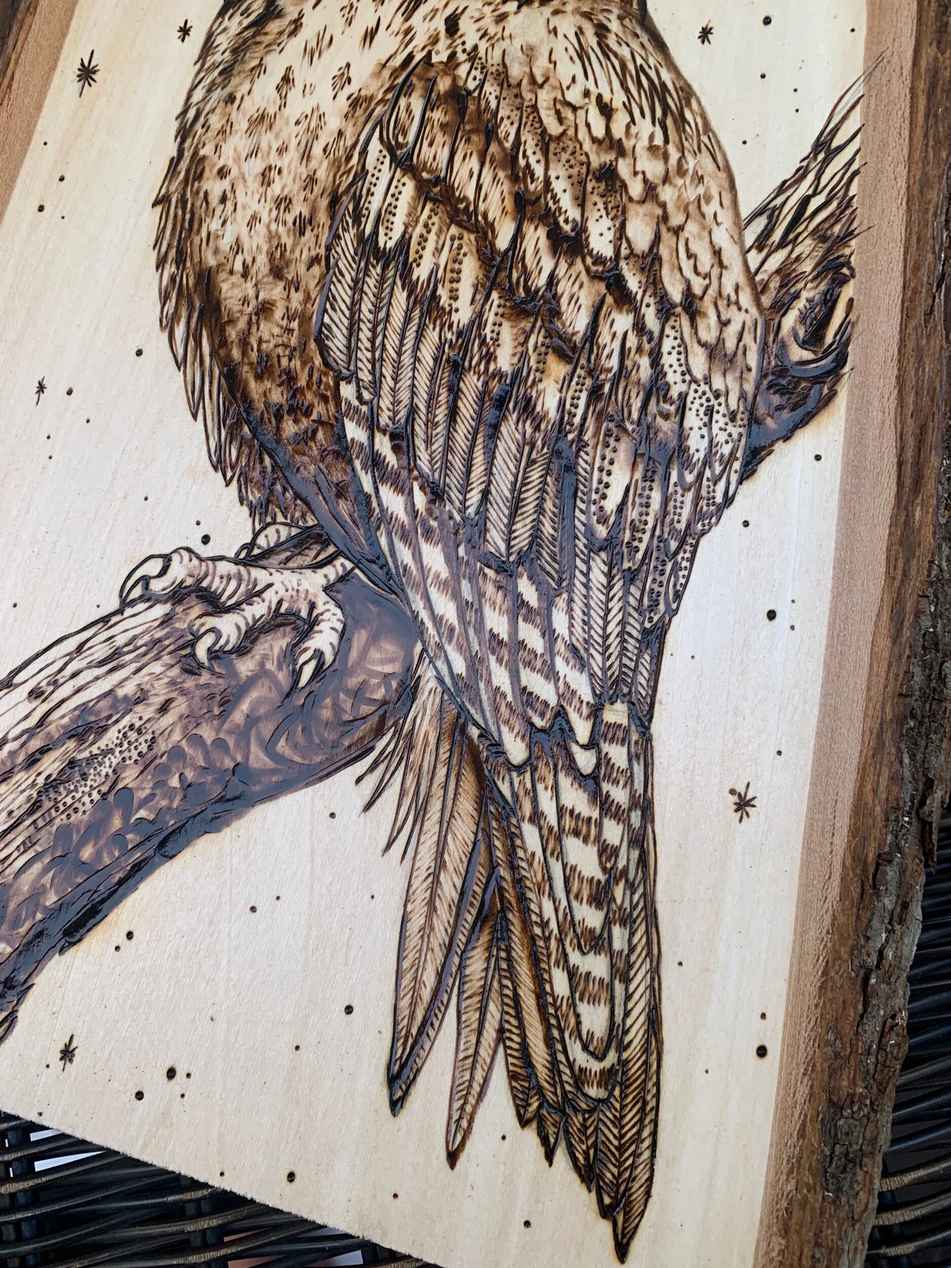 67B78B3E-5C46-49AA-B6C7-14641C3E169A