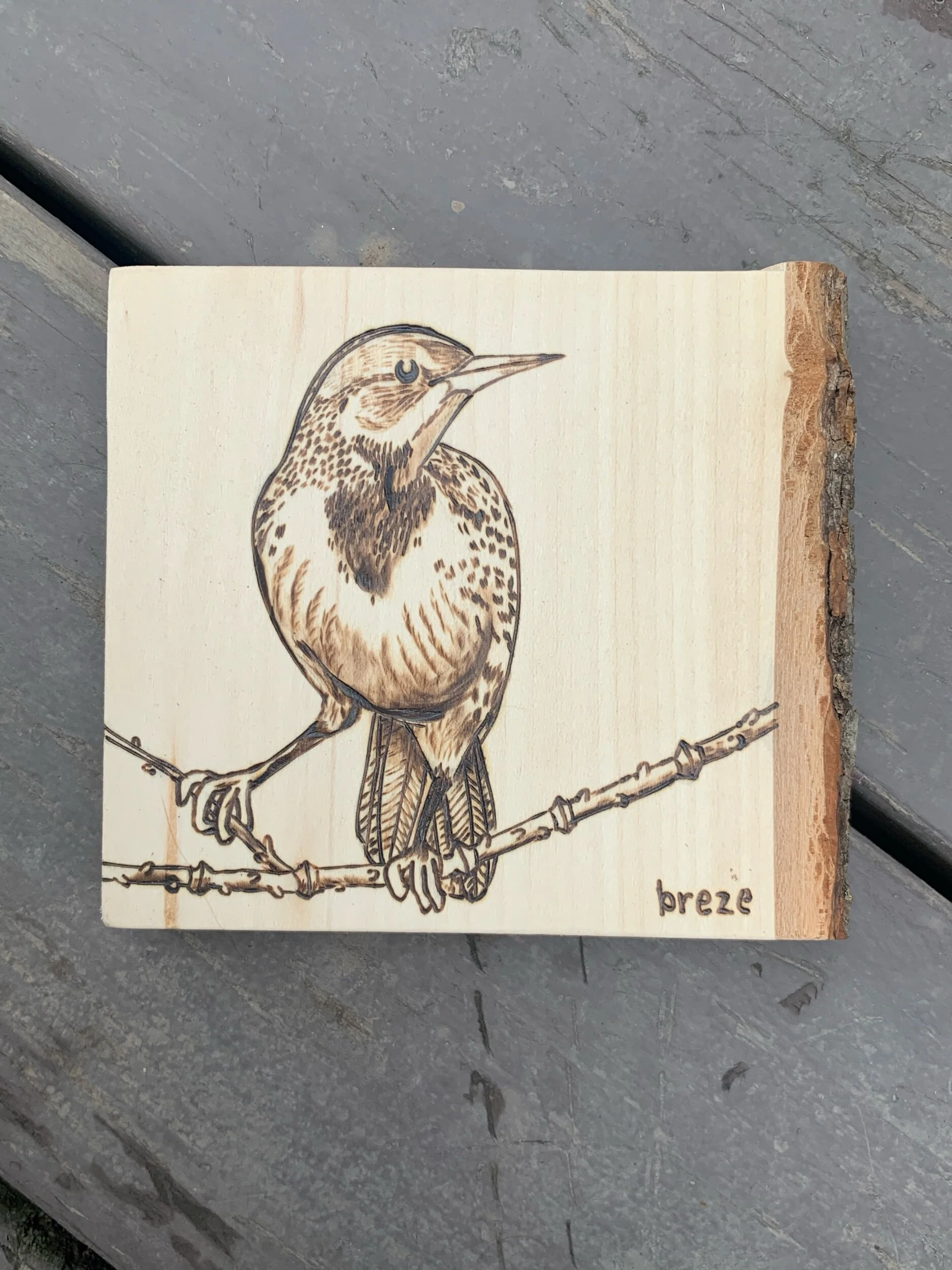 D0D720E6-0AF7-4F7D-B2DC-0DED79D4C7B6