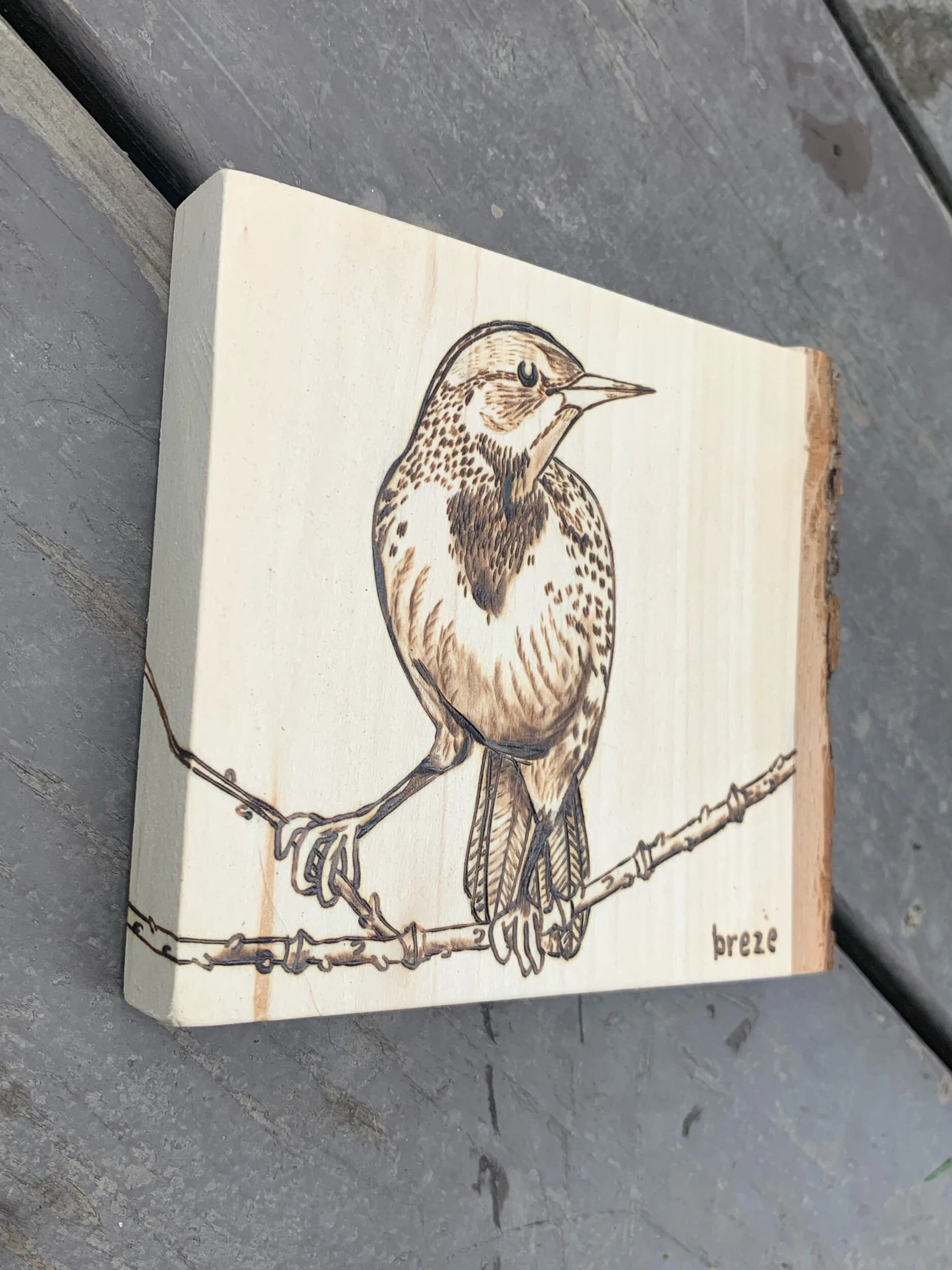 5F655CB3-68D4-46BD-9F9F-6B73F455368E