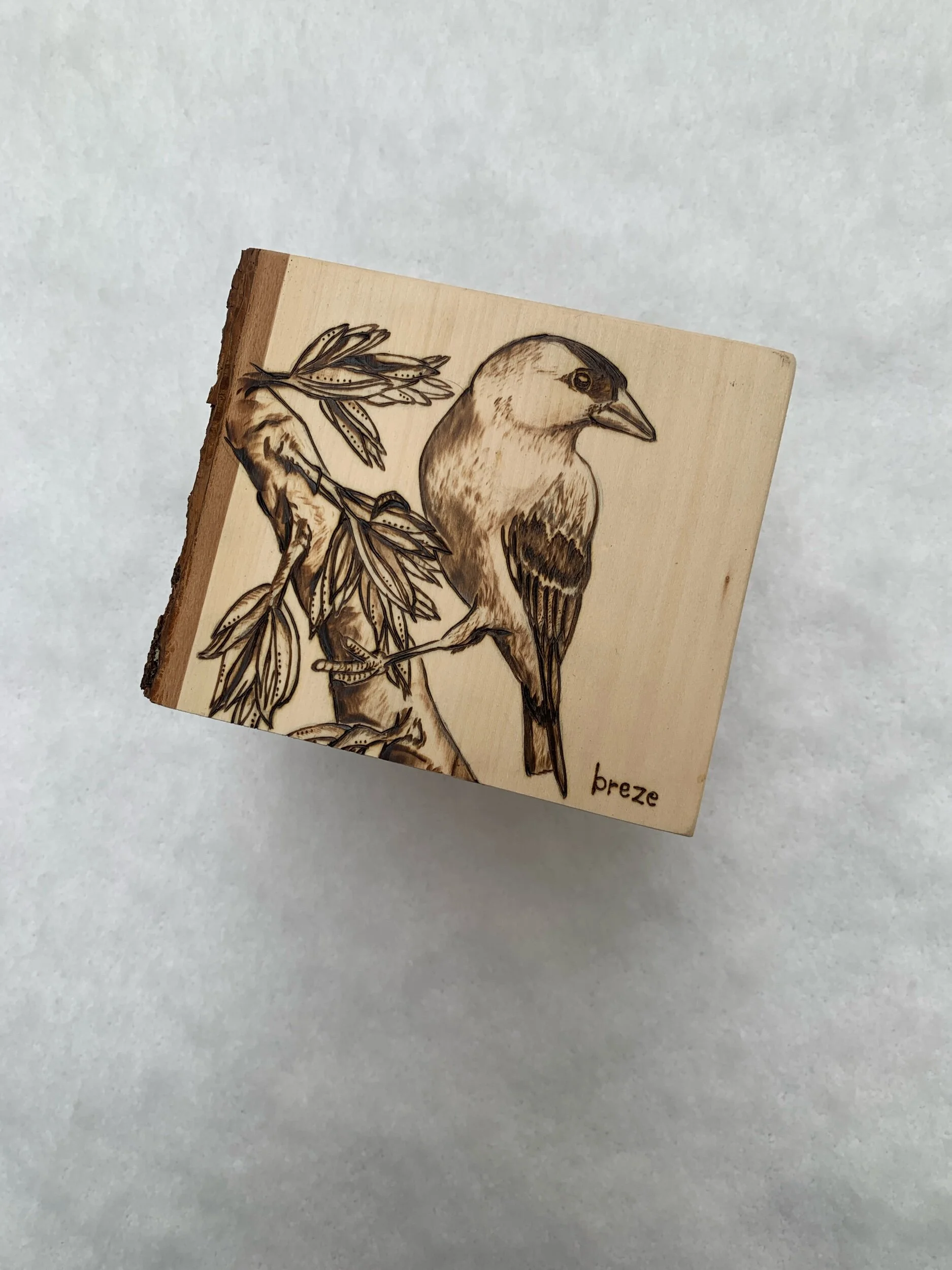 6E9CDEF5-DB8E-432A-AA1A-FAE4767D1A7F