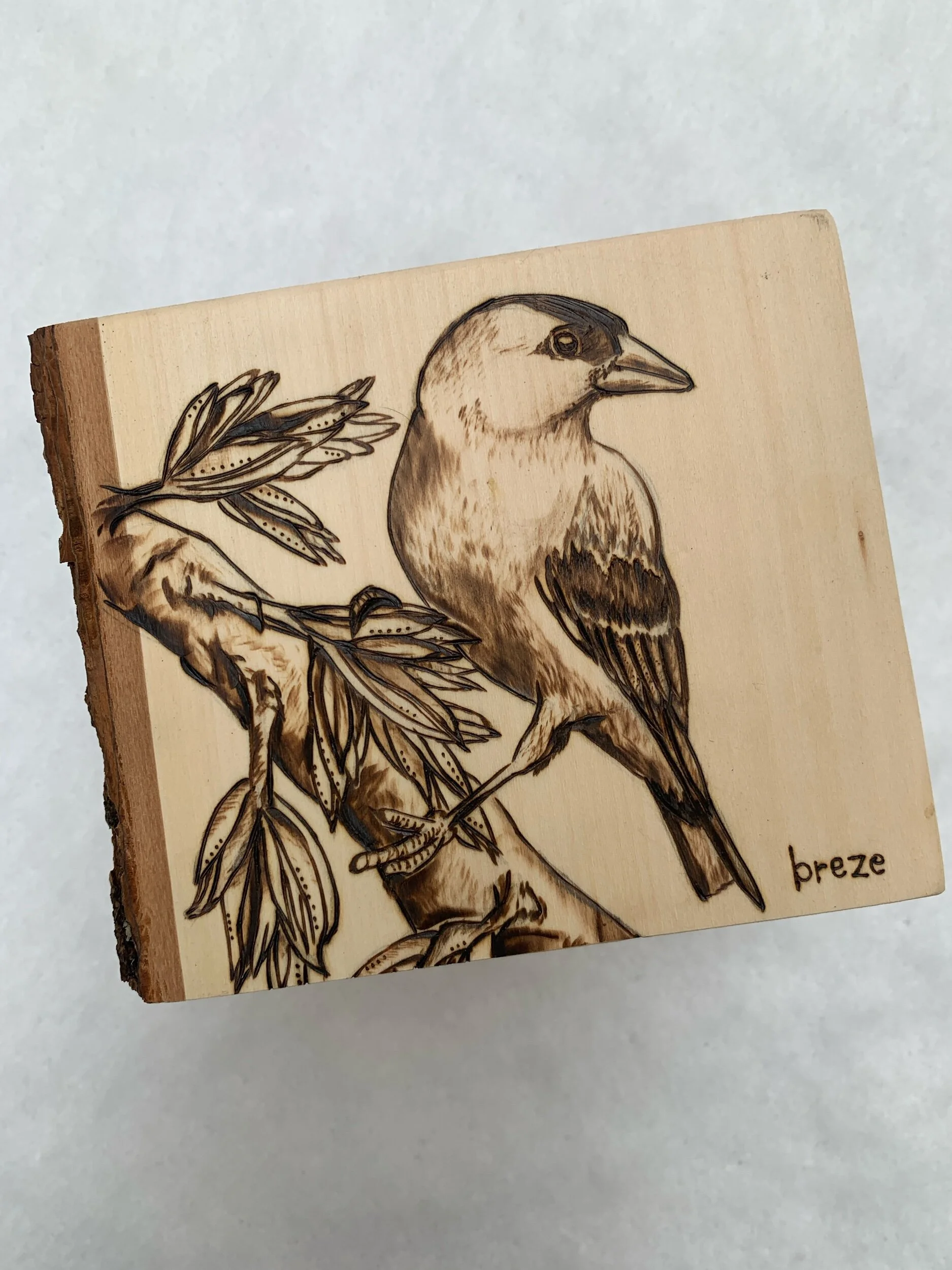 E8529A04-0EE6-49CC-A3DE-B31EA2A0FC3E