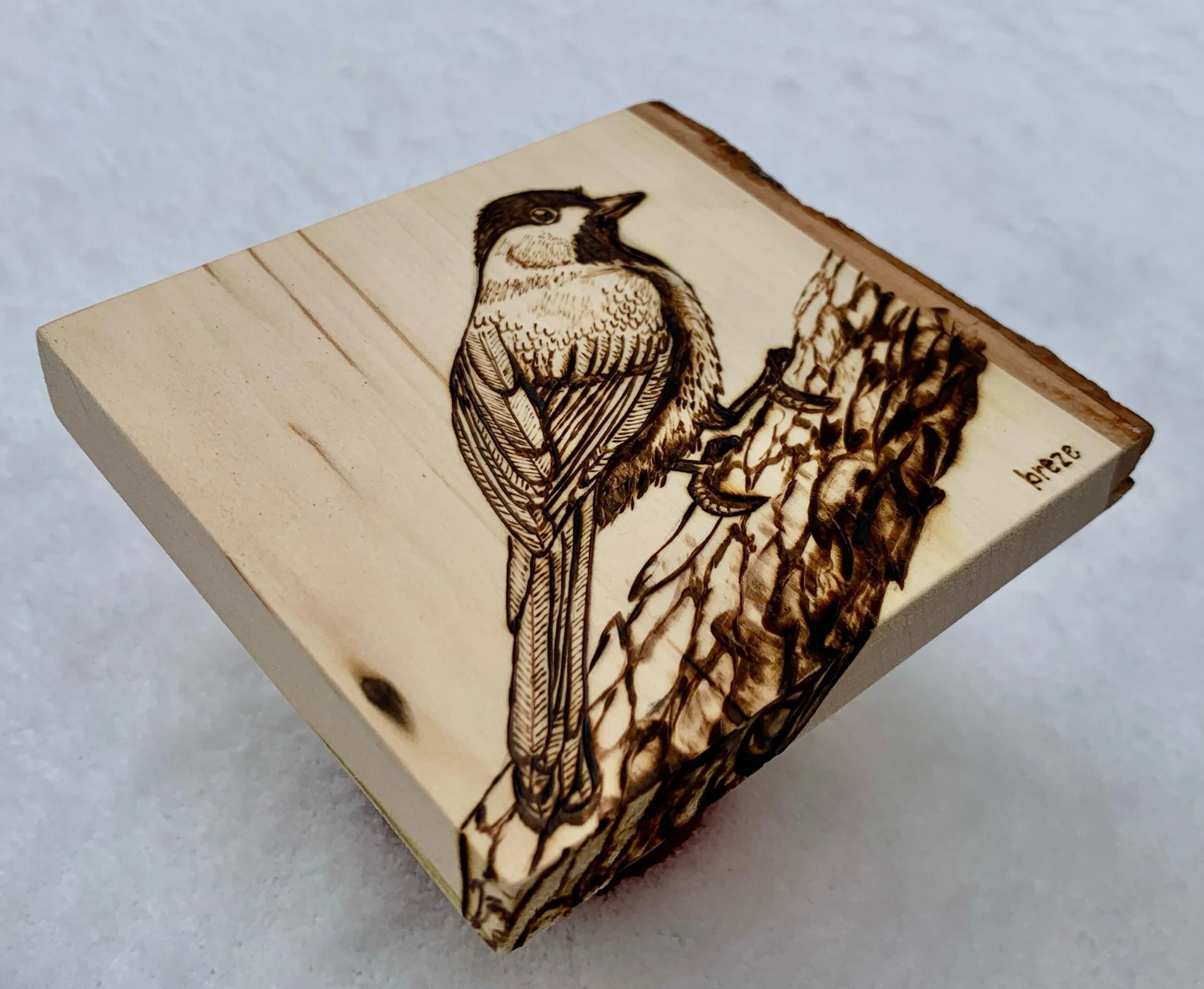 0CA59F0C-F132-4421-AD8B-1A2E490F909A