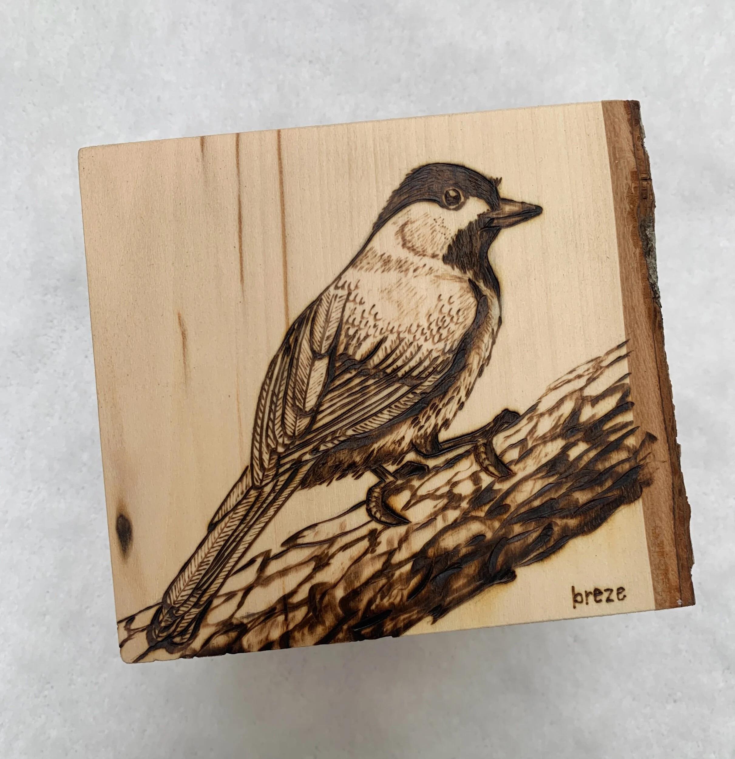 9DA1B5CE-8F72-4D54-ADA6-A285E58C1598