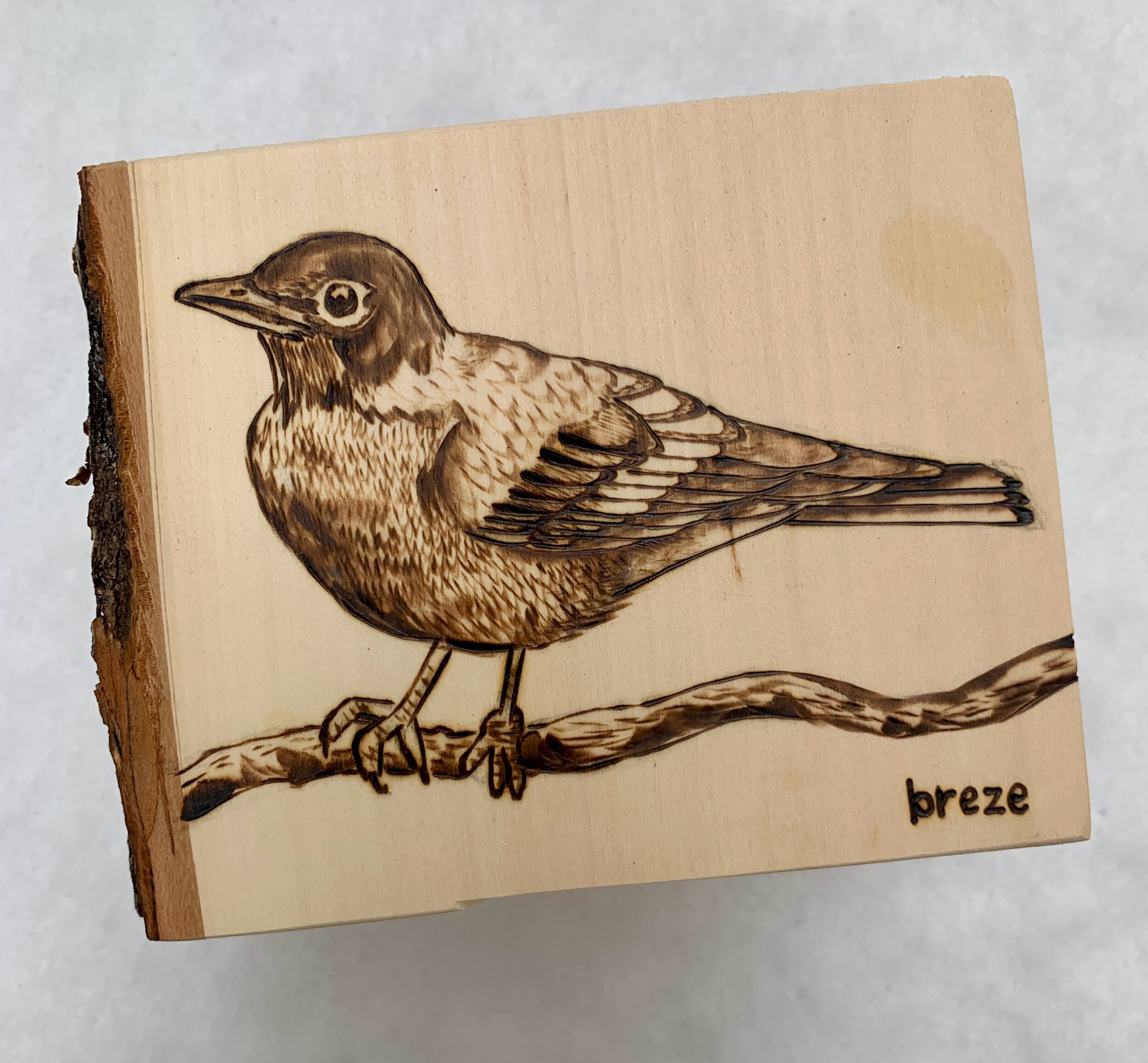 97D529D9-EBD2-4DAA-BB5D-08F9E4534DB8